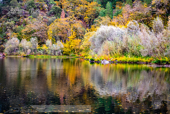 fb-5-20191017-2019 Rogue River-DSC_0821-25-8256 x 5504-8256 x 5504