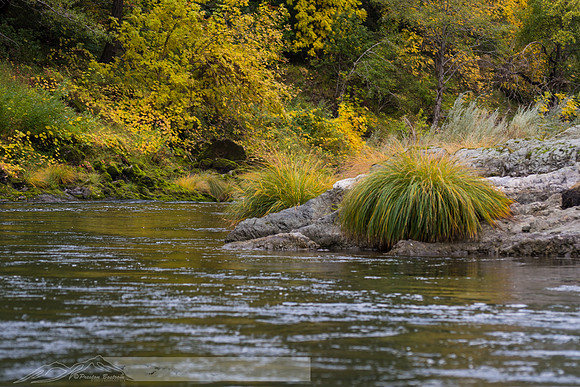 Rogue_River-24-20191018-2019 -DSC_2076-112-5568 x 3712-5568 x 3712