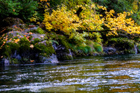 fb-14-20191018-2019 -DSC_2070-106-5568 x 3712-5568 x 3712