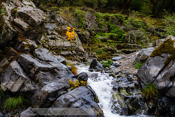 Rogue_River-47-20191018-2019 -DSC_2376-412-5568 x 3712-5568 x 3712
