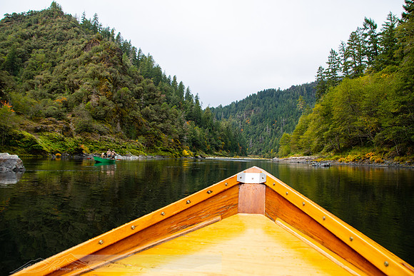 20191020-Rogue_fishing-77-20191020-2019 rogue-DSC_3412-835-5568 x 3712-5568 x 3712