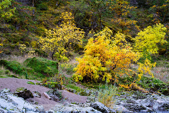 Rogue_River-25-20191018-2019 -DSC_2083-119-5568 x 3712-5568 x 3712