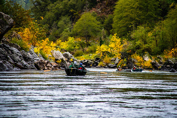 20191019-Rogue_fishing-24-20191019-2019 -DSC_2399-435-5568 x 3712-5568 x 3712
