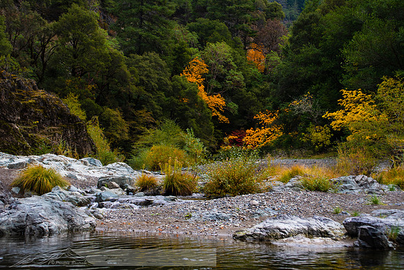 Rogue_River-9-20191018-2019 -DSC_1997-33-5568 x 3712-5568 x 3712