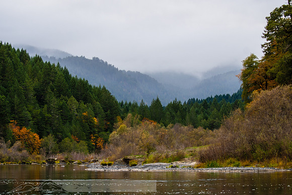 fb-62-20191020-2019 rogue-DSC_3602-1025-5568 x 3712-5568 x 3712