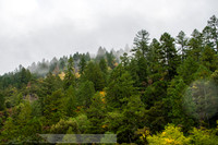 Rogue_River-2-20191018-2019 -DSC_1974-10-5568 x 3712-5568 x 3712