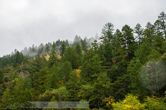 Rogue_River-2-20191018-2019 -DSC_1974-10-5568 x 3712-5568 x 3712