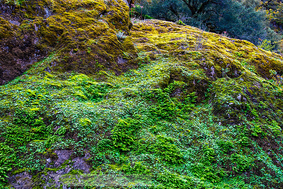 Rogue_River-27-20191018-2019 -DSC_2081-117-5568 x 3712-5568 x 3712