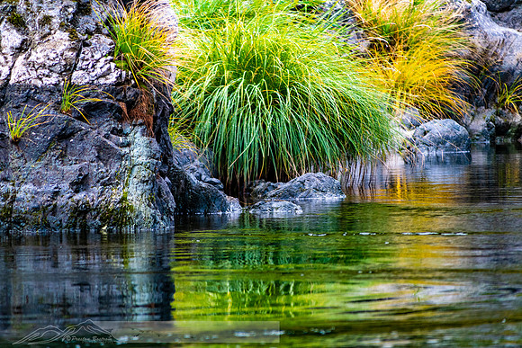 Rogue_River-17-20191018-2019 -DSC_2068-104-5568 x 3712-5568 x 3712