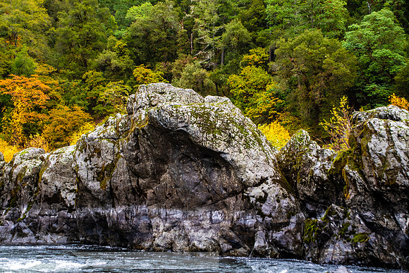 Rogue_River-53-20191019-2019 -DSC_2458-494-5568 x 3712-5568 x 3712