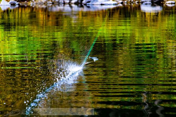 Rogue_River-36-20191018-2019 -DSC_2165-201-5568 x 3712-5568 x 3712