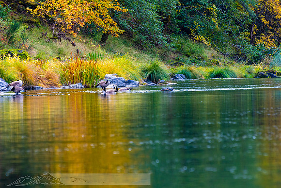 Rogue_River-45-20191018-2019 -DSC_2194-230-5568 x 3712-5568 x 3712