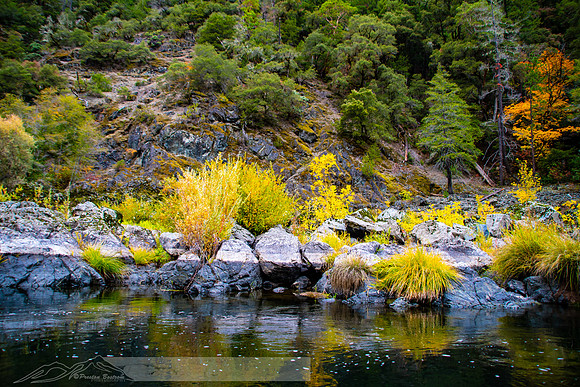 Rogue_River-33-20191018-2019 -DSC_2180-216-5568 x 3712-5568 x 3712