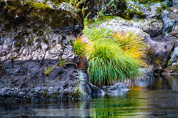 Rogue_River-18-20191018-2019 -DSC_2067-103-5568 x 3712-5568 x 3712