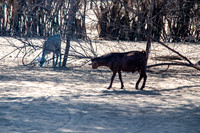 20231003-kenya-58-DSC_10401040-5568 x 3712