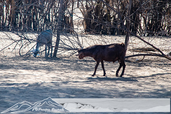 20231003-kenya-58-DSC_10401040-5568 x 3712