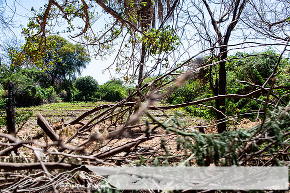 20231004-kenya-123-DSC_11081108-5568 x 3712