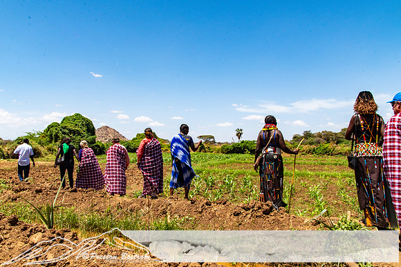 20231004-kenya-146-DSC_11331133-5568 x 3712