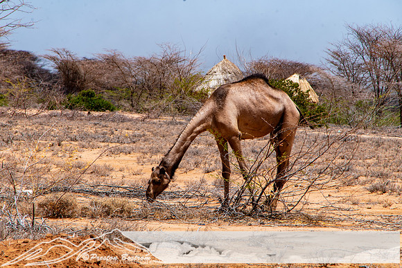 20231004-kenya-188-DSC_11751175-5568 x 3712