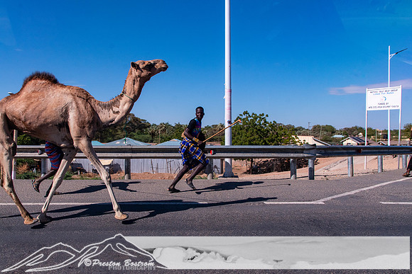 20231005-kenya-221-DSC_12081208-5568 x 3712