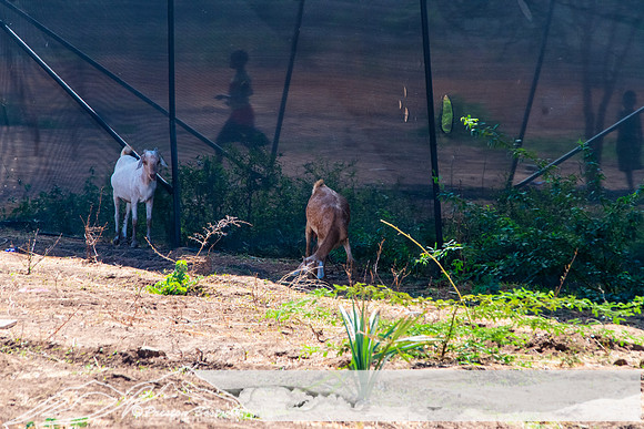 20231005-kenya-224-DSC_12111211-5568 x 3712