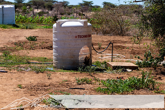 20231005-kenya-227-DSC_12141214-5568 x 3712