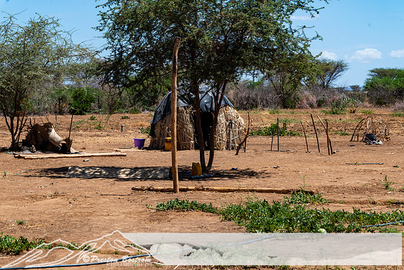 20231005-kenya-229-DSC_12161216-5568 x 3712
