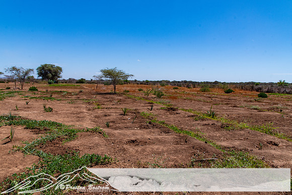 20231005-kenya-230-DSC_12171217-5568 x 3712