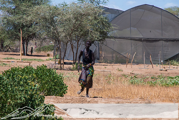 20231005-kenya-237-DSC_12241224-5568 x 3712