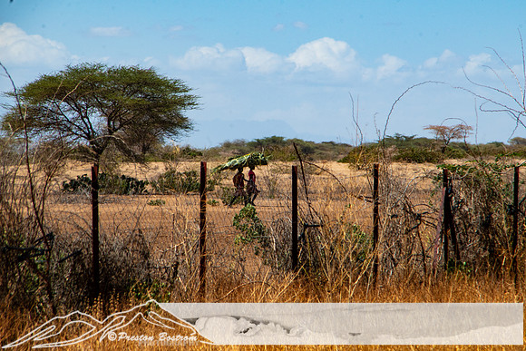 20231005-kenya-240-DSC_12271227-5568 x 3712