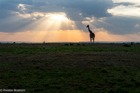 Kenya