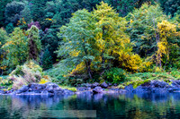 fb-7-20191018-2019 -DSC_1977-13-5568 x 3712-5568 x 3712