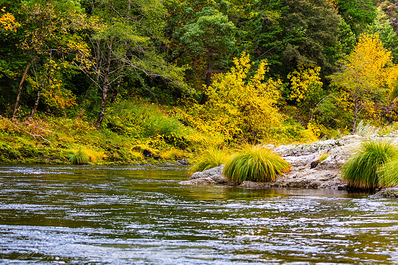Rogue_River-21-20191018-2019 -DSC_2075-111-5568 x 3712-5568 x 3712