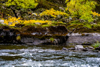 Rogue_River-8-20191018-2019 -DSC_1990-26-5568 x 3712-5568 x 3712