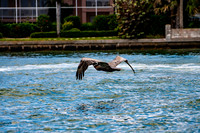 20190413_20190413-2019 Safey Harbor Day 2-general_fam-DSC_2470-35-8256 x 5504-7