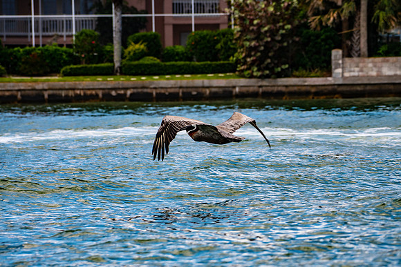 20190413_20190413-2019 Safey Harbor Day 2-general_fam-DSC_2470-35-8256 x 5504-7