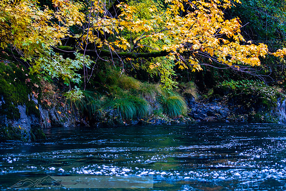 Rogue_River-21-20191018-2019 -DSC_2071-107-5568 x 3712-5568 x 3712