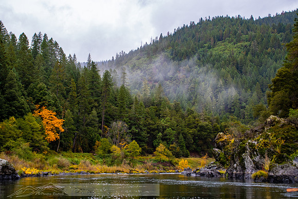 Rogue_River-51-20191019-2019 -DSC_2417-453-5568 x 3712-5568 x 3712
