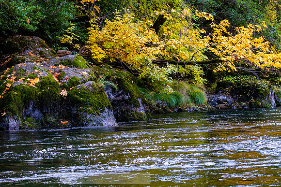 Rogue_River-20-20191018-2019 -DSC_2070-106-5568 x 3712-5568 x 3712