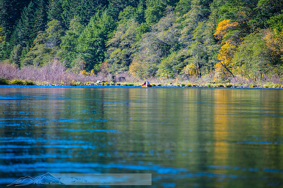 fb-69-20191021-2019 rogue-DSC_1379-125-8256 x 5504-8256 x 5504