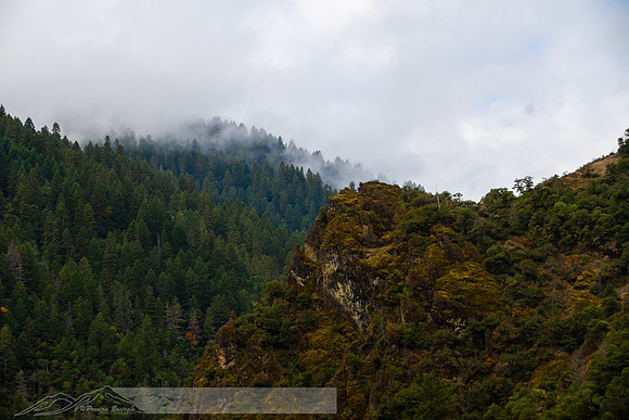 Rogue_River_slides-1-20191018-2019 -DSC_2064-100-5568 x 3712-5568 x 3712