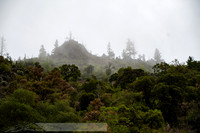 Rogue_River_slides-15-20191020-2019 rogue-DSC_2653-76-5568 x 3712-5568 x 3712