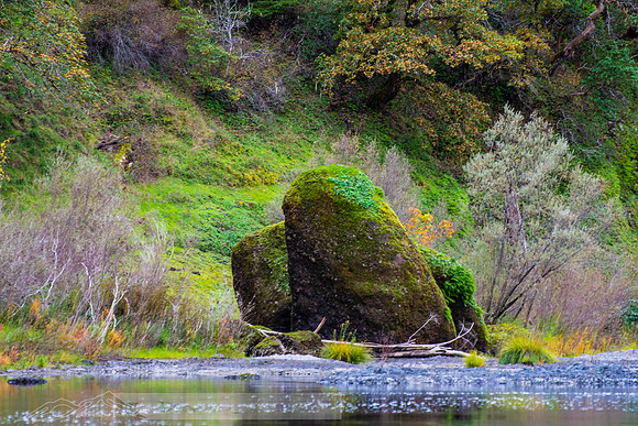 Rogue_River_slides-30-20191020-2019 rogue-DSC_3608-1031-5568 x 3712-5568 x 3712