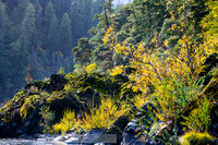 Rogue_River_slides-9-20191019-2019 -DSC_1056-830-8256 x 5504-8256 x 5504