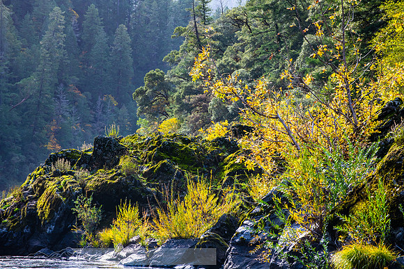 Rogue_River_slides-9-20191019-2019 -DSC_1056-830-8256 x 5504-8256 x 5504