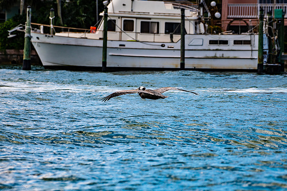 20190413-2019 Safey Harbor Day 2-general_fam-DSC_2472-24-8256 x 5504