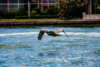 20190413-2019 Safey Harbor Day 2-general_fam-DSC_2470-35-8256 x 5504
