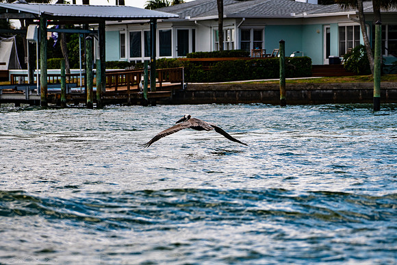 20190413-2019 Safey Harbor Day 2-general_fam-DSC_2475-8-8256 x 5504