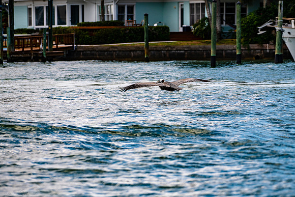 20190413-2019 Safey Harbor Day 2-general_fam-DSC_2474-14-8256 x 5504