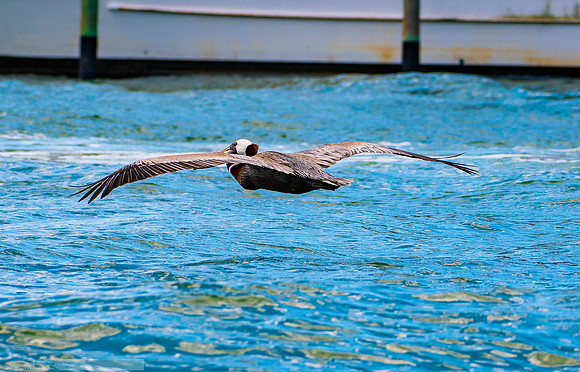20190413-2019 Safey Harbor Day 2-general_fam-DSC_2472-24-8256 x 5504